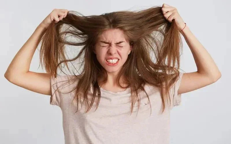 hair repair shampoo