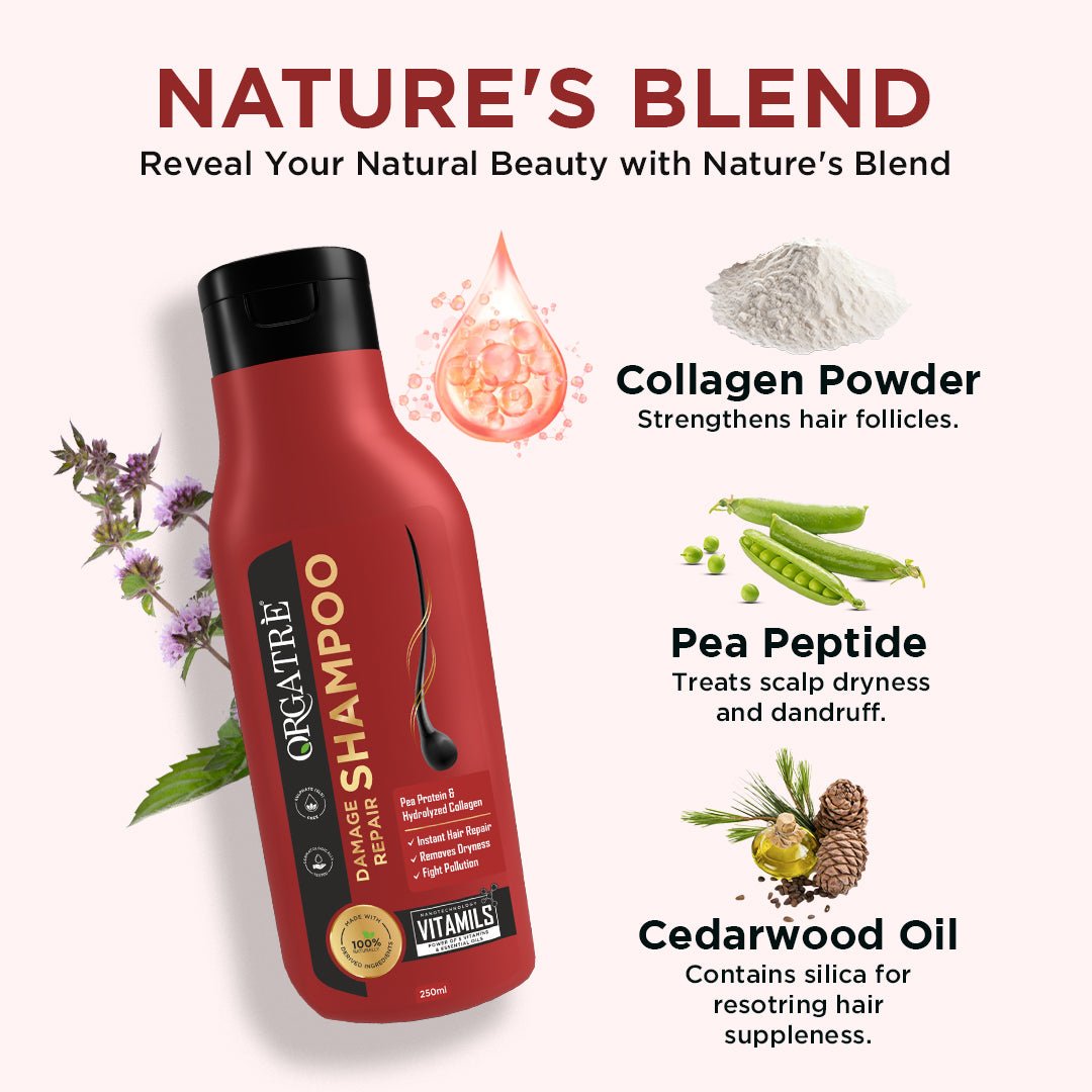 damage repair shampoo