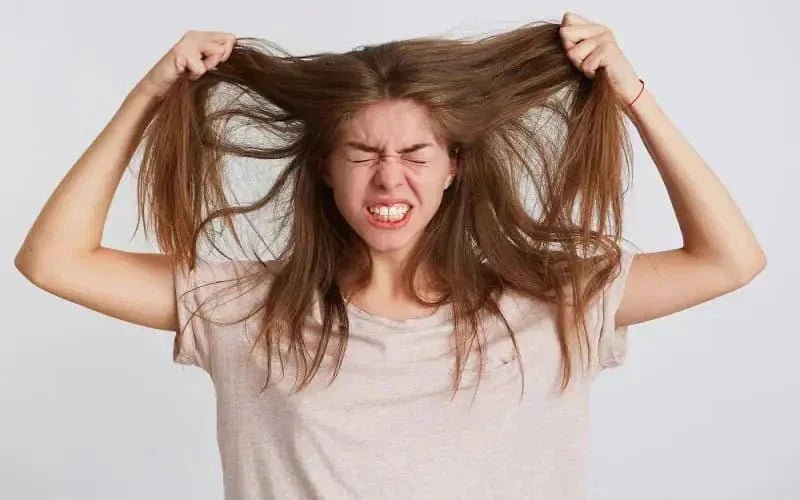 hair repair shampoo